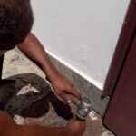 Trabalho executado pela Caça Vazamentos e Infiltrações Salvador